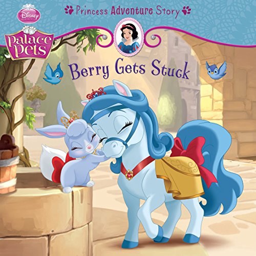 Berry Gets Stuck: A Princess Adventure Story book cover