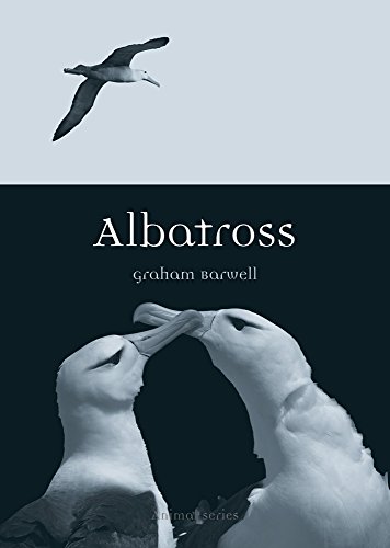 Albatross (By: Graham Barwell) cover