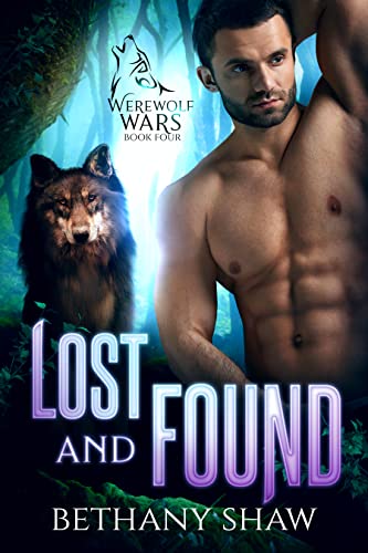 Lost and Found book cover
