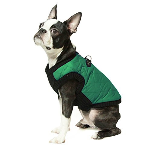 GOOBY boys Fashion Vest, Green, X-Small chest 10.25 UK