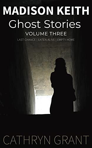 Madison Keith Ghost Story Collection - Volume 3 book cover