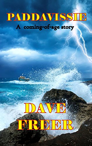 Paddavissie (By: Dave Freer) cover