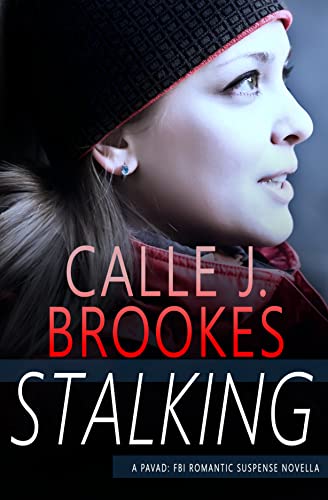 Stalking book cover