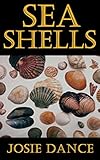 Sea Shells The Undeniable Facts About Sea Shells