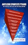 Ankylosing Spondylitis Pyramid The Lifestyle That Lets You Take Back Control English Edition