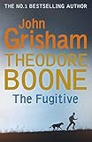 Theodore Boone The Fugitive Theodore Boone 5 English Edition