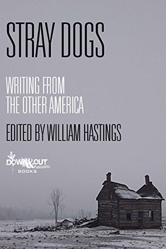 Stray Dogs book cover