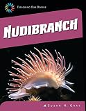 Nudibranch 21st Century Skills Library Exploring Our Oceans English Edition