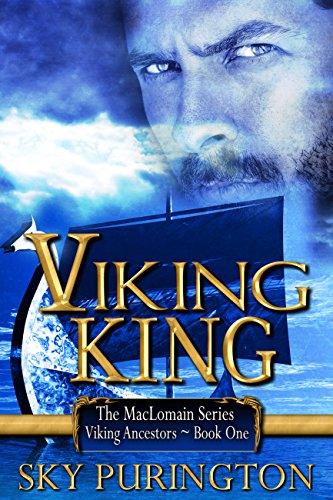 Viking King book cover