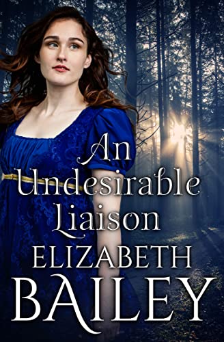 An Undesirable Liaison book cover