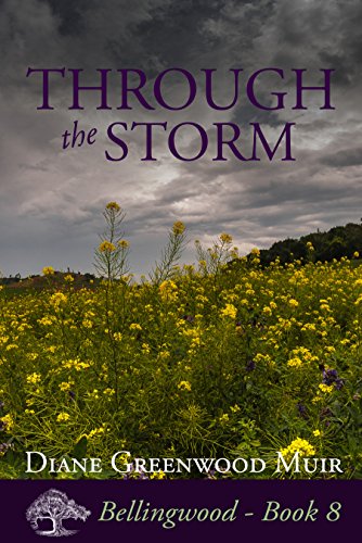 Through the Storm book cover
