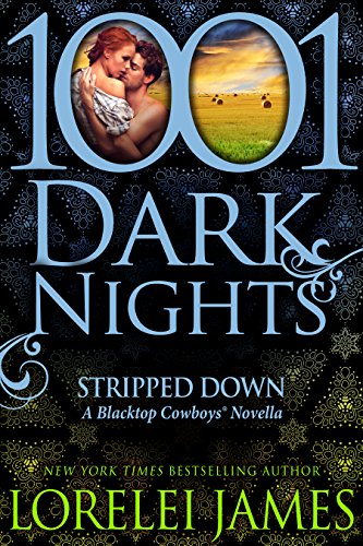 Stripped Down book cover