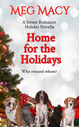 Home for the Holidays book cover