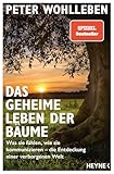 Das Geheime Leben Der Bume Was Sie Fhlen Wie Sie Kommunizieren Die Entdeckung Einer Verborgenen Welt German Edition