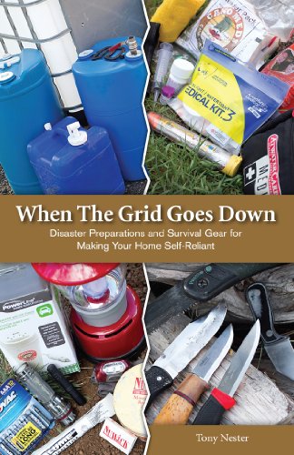 When The Grid Goes Down book cover