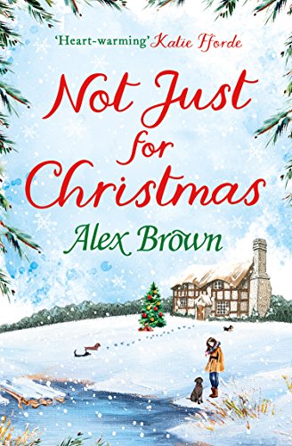 Not Just For Christmas book cover