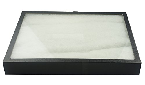 SE 16"x12"x2" Inch Glass Top Riker Display Box with Metal Clips - Deep Case for Jewelry, Gems, Stones, Coins, Stamps, Butterflies - Secure Closure, Polyester Filled