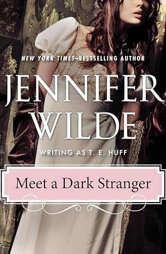 Meet a Dark Stranger book cover
