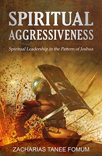 Spiritual Aggressiveness book cover