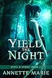 Yield The Night Steel Stone Book 3 English Edition