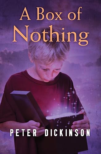 A Box of Nothing book cover