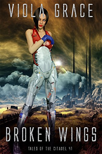 Broken Wings book cover