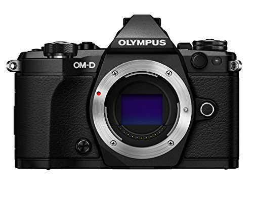 OM SYSTEM Olympus OM-D E-M5 Mark II