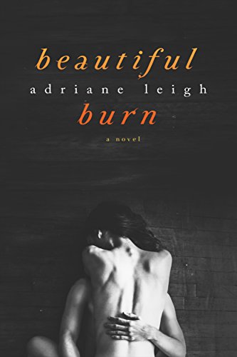 Beautiful Burn book cover