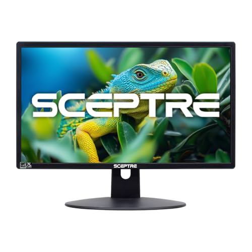 Sceptre E205W Monitor Built-in Speakers A good monitor for an excellent price.