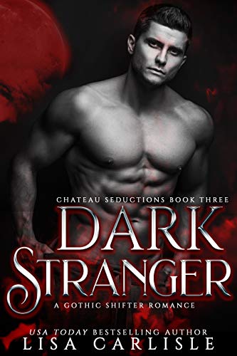 Dark Stranger book cover