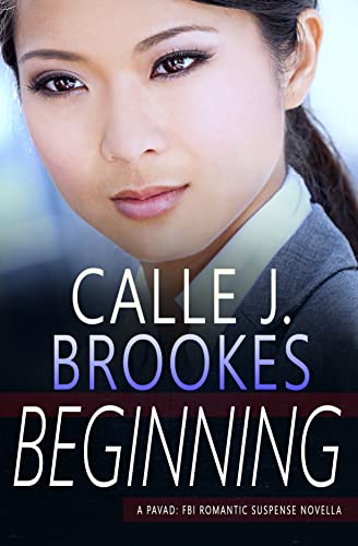 Beginning book cover