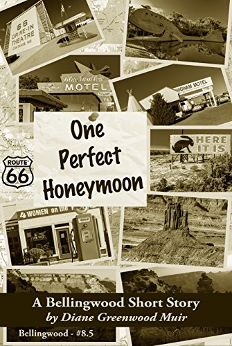 One Perfect Honeymoon book cover