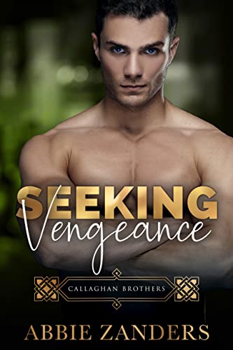 Seeking Vengeance book cover