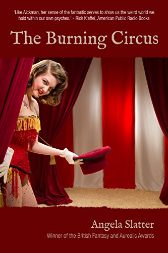 The Burning Circus book cover