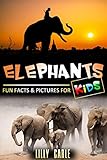 Elephants Fun Facts Pictures For Kids English Edition