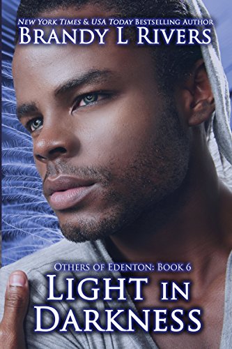 Light in Darkness book cover