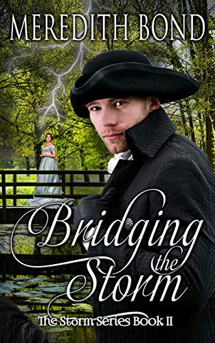 Bridging the Storm book cover