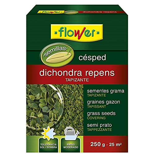 Semillas de Dichondra repens Flower 250 g para sembrar pasto en el recinto de la tortuga