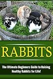 Rabbits The Ultimate Beginners Guide To Raising Healthy Rabbits For Life Rabbits Raising Rabbits Rabbit Care How To Care For Rabbits Rabbit Nutrition Indoor Pets English Edition