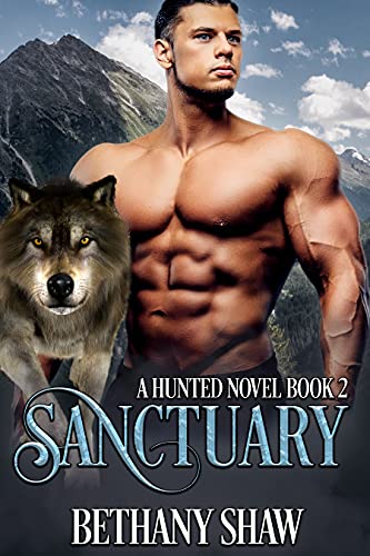 Sanctuary book cover