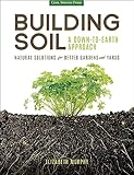 Building Soil A Downtoearth Approach English Edition