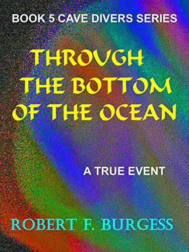 Through The Bottom Of The Ocean book cover