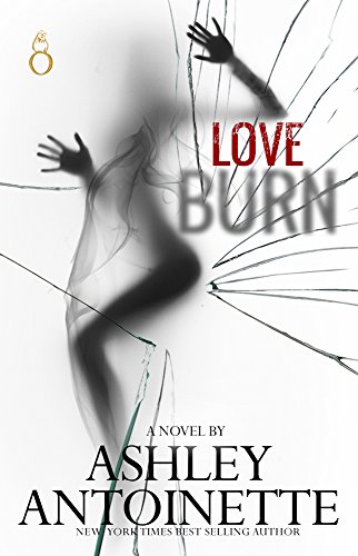 Love Burn book cover