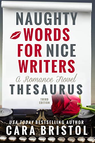 Naughty Words for Nice Writers book cover