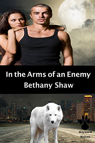 In the Arms of an Enemy book cover