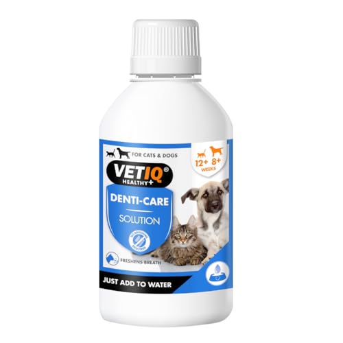VETIQ Denti-Care Solution For Cats & Dogs, Simply Add to Drinking Water to Reduce Dental Plaque and Freshen Bad Breath, 250 ml