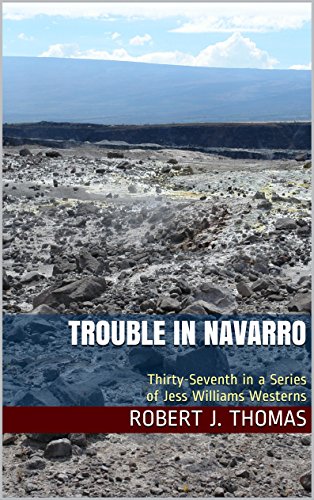 Trouble in Navarro book cover
