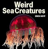 Weird Sea Creatures English Edition