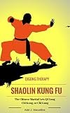 Shaolin Kung Fu Qigong Therapy The Chinese Martial Arts Qi Gong Chi Kung Or Chi Gung English Edition