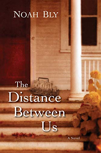 The Distance Between Us book cover